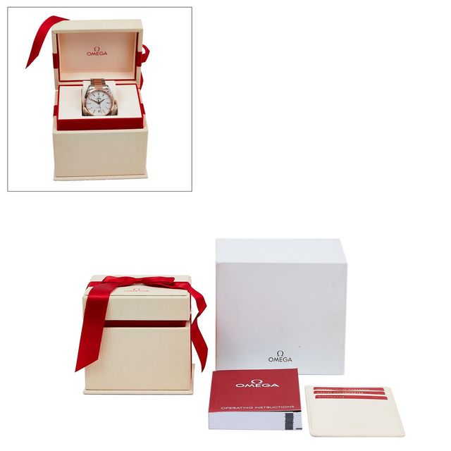 Omega Aqua Terra 150m Gents 220.20.41.21.02.001 Image 5